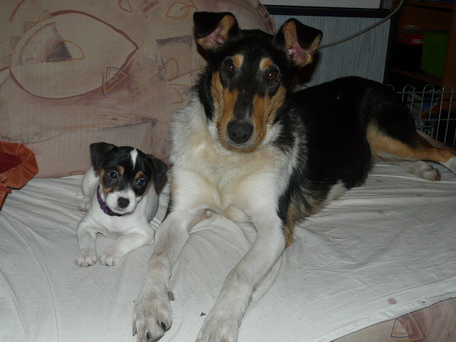 Aimme a DAnny